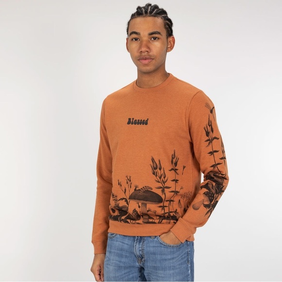 Blind Rooster Graphic Crewneck Sweatshirt Amber Brown Mushroom Caterpillar small - Picture 1 of 9